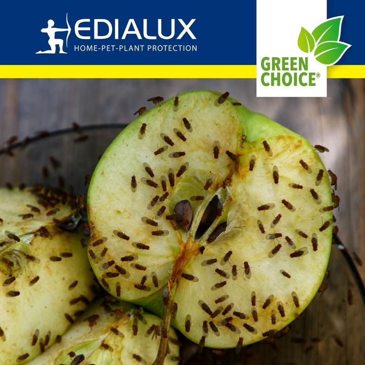 Image du produit Edialux Green Choice - Piège à mouches des fruits, 2 x 15ml