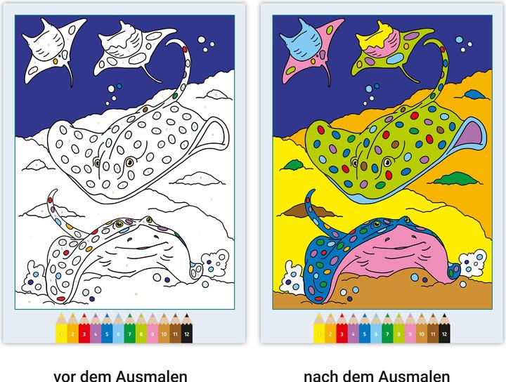 Image du produit Ravensburger CreArt Peinture par numéros 7 et plus : Dans la mer, livre de coloriage, 24 motifs