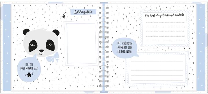 Produktbild Mein erstes Jahr (Junge) (Deutsch, GRAFIK WERKSTATT Das Original, 2019)