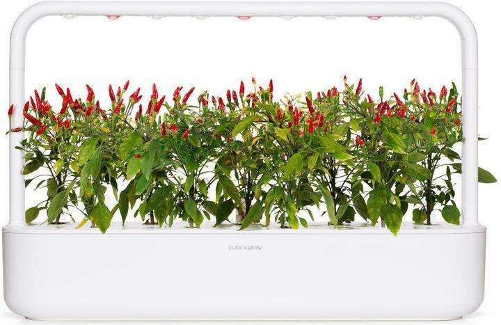 Immagine prodotto Click and Grow Piri piri peperoncino (Semi di verdura)