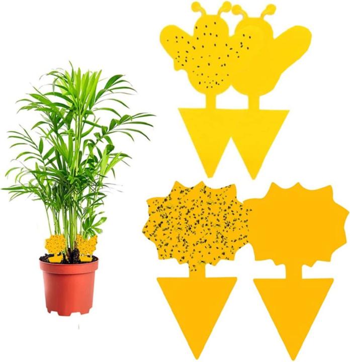 Produktbild Werkstein Fruchtfliegen Falle Gelbsticker Trauermücken Klebefalle für Blumentopf 60er Set