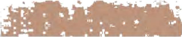 Actual product image Schmincke Pastel Crayon Vandyck Brown 036 M (Vandyck)