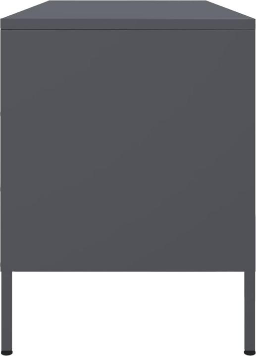 Actual product image VidaXL Laure (100.5 x 39 x 50.5 cm)