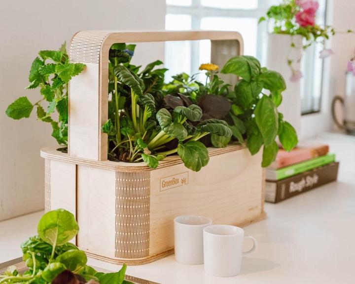 Produktbild BerlinGreen GreenBox Great Variety Bundle