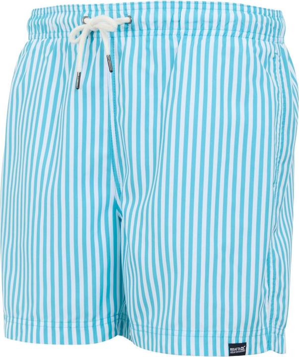 Actual product image Regatta Mens Loras Striped Swim Shorts (XL)
