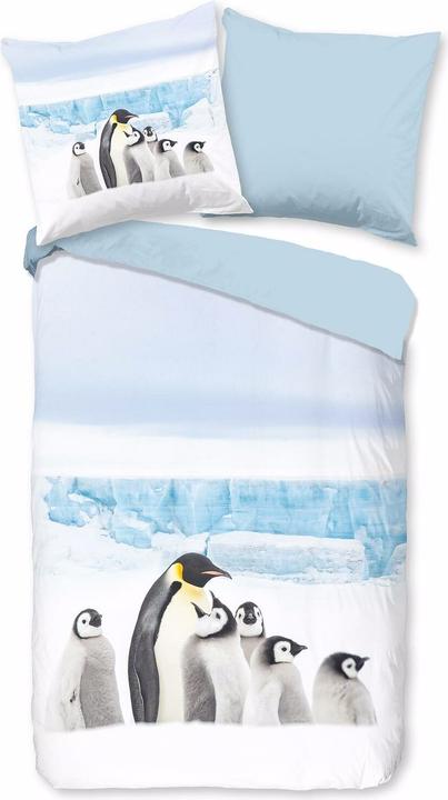 Image du produit Traumschlaf Pingouin (Set de linge de lit, 135x200 cm + 80x80 cm)