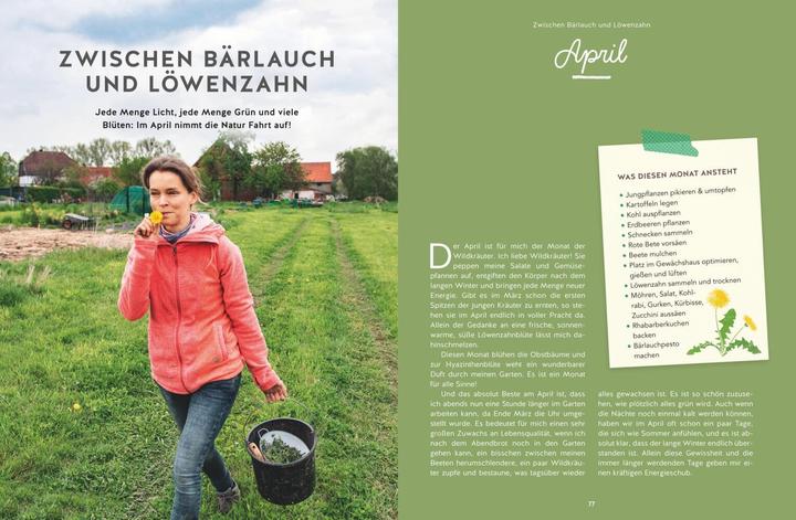 Produktbild 12 Monate Gemüse ernten (Deutsch, Vogt, Tini, 2022)