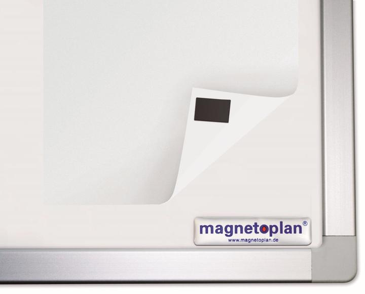 Actual product image Magnetoplan Takkis (60 x)