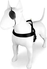 Immagine prodotto MORSO Caviale d'oro norvegese Hondentuig Gerecycled Goud (Cane, Sport cane)