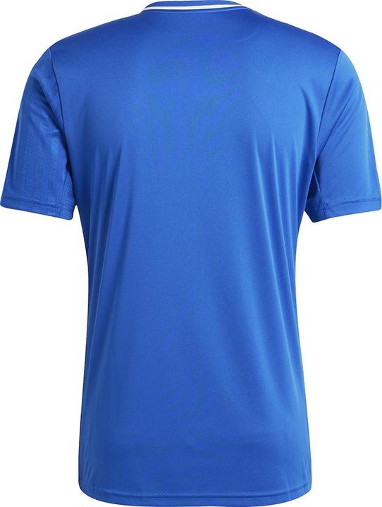 Actual product image adidas Campeon 25 jersey (XL)