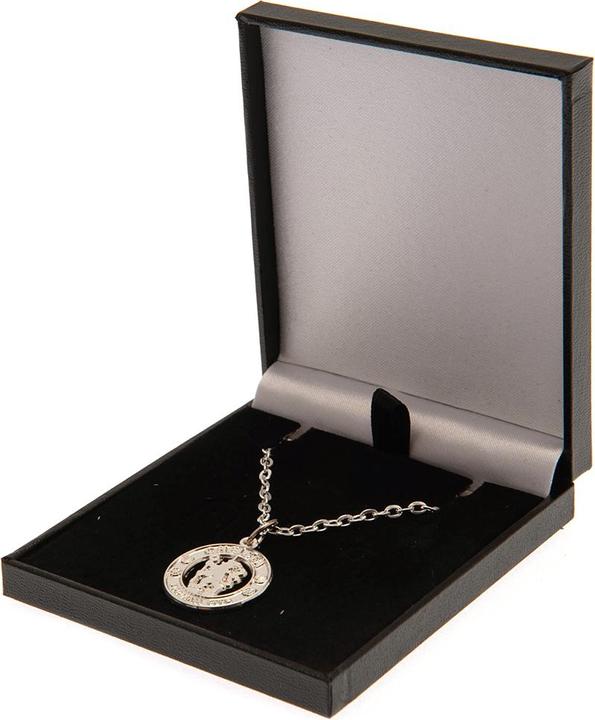 Actual product image Chelsea FC Crest Necklace & Pendant (100% synthetic material)