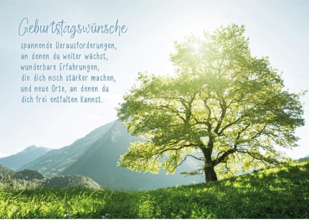 Produktbild Geburtstagswünsche (1 Stk.)