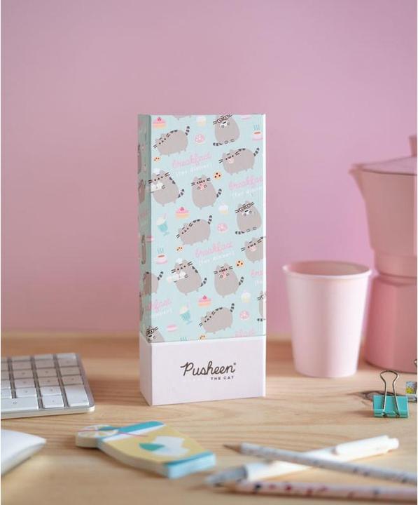 Actual product image Pusheen Rose pencil case