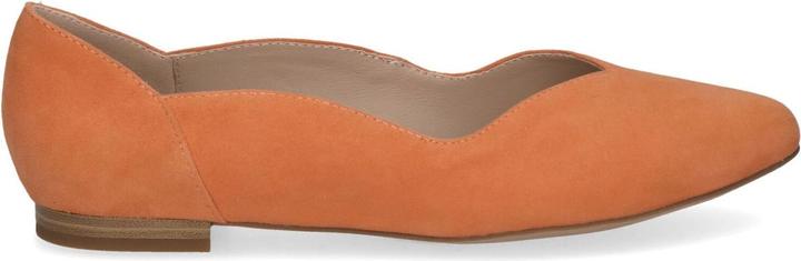 Actual product image Caprice Pumps (36)