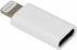 Actual product image Sbox Adapter IPH/8 M. -> TYPE-C F. (AD.IPH-TYPEC)
