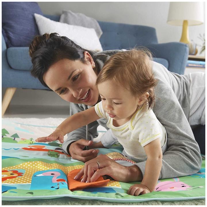 Actual product image Fisher-Price GXR53