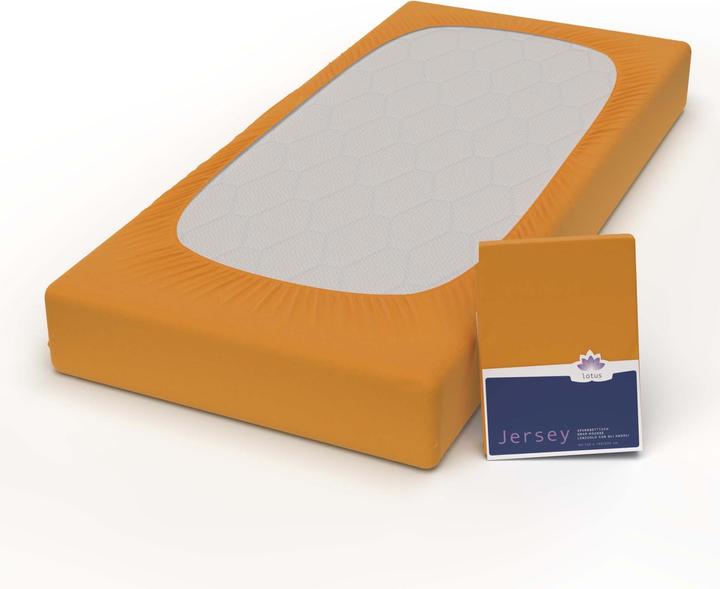 Actual product image Lotus Bettwaren Jersey Fix Comfort (180 x 200 cm)