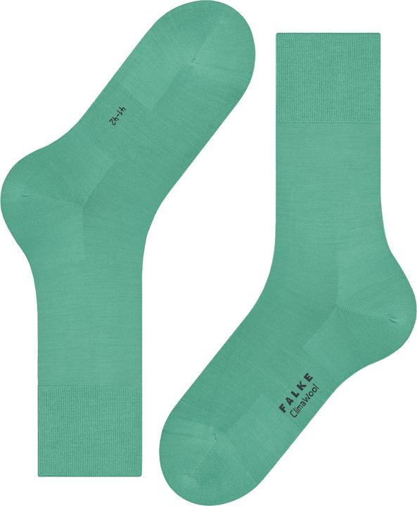Actual product image Falke ClimaWool Men (43 - 44)