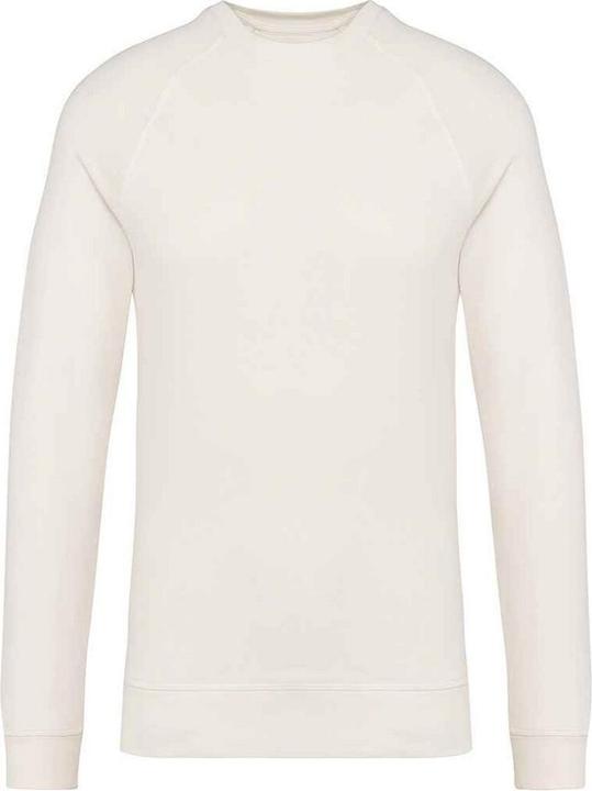 Native Spirit Sweatshirt Raglanärmel