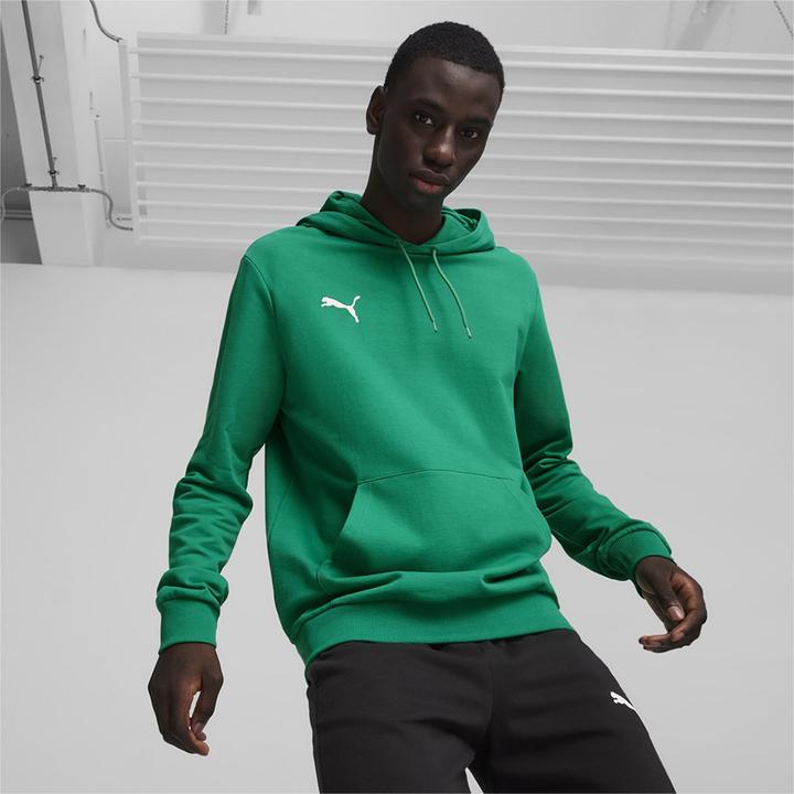Actual product image Puma teamGOAL Casuals Hoody (M)