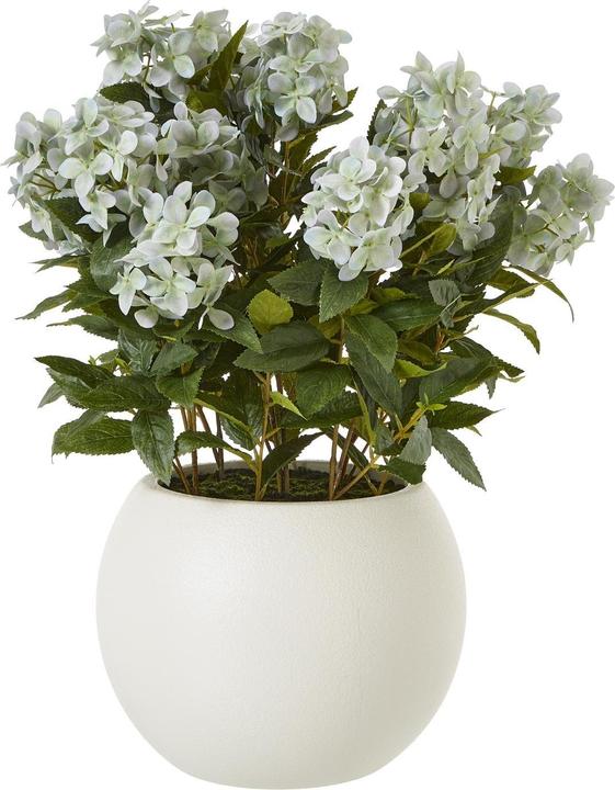 Plantes artificielles