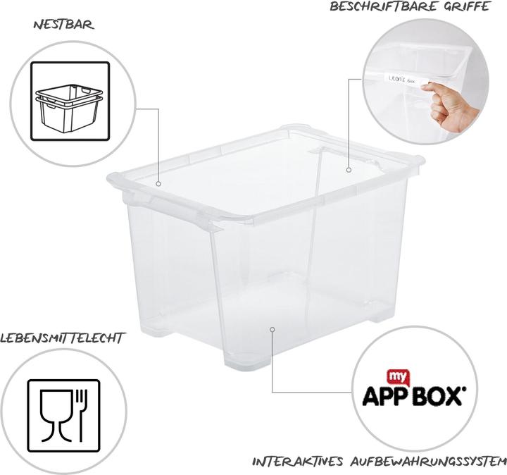 Immagine prodotto Rotho Evo Easy (39 x 28 x 23 cm, 15 l)
