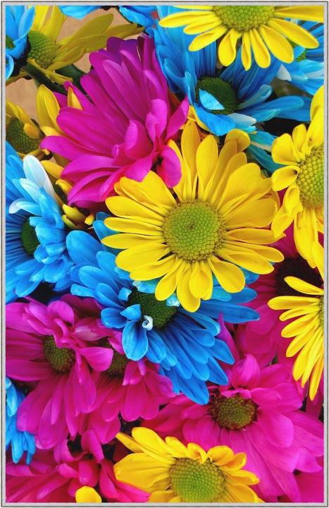 Actual product image Confetti Carpets Alfredo (80 x 50 cm)