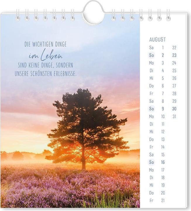 Produktbild Postkartenkalender 2026 Lichtblicke (16 x 17 cm, Deutsch)