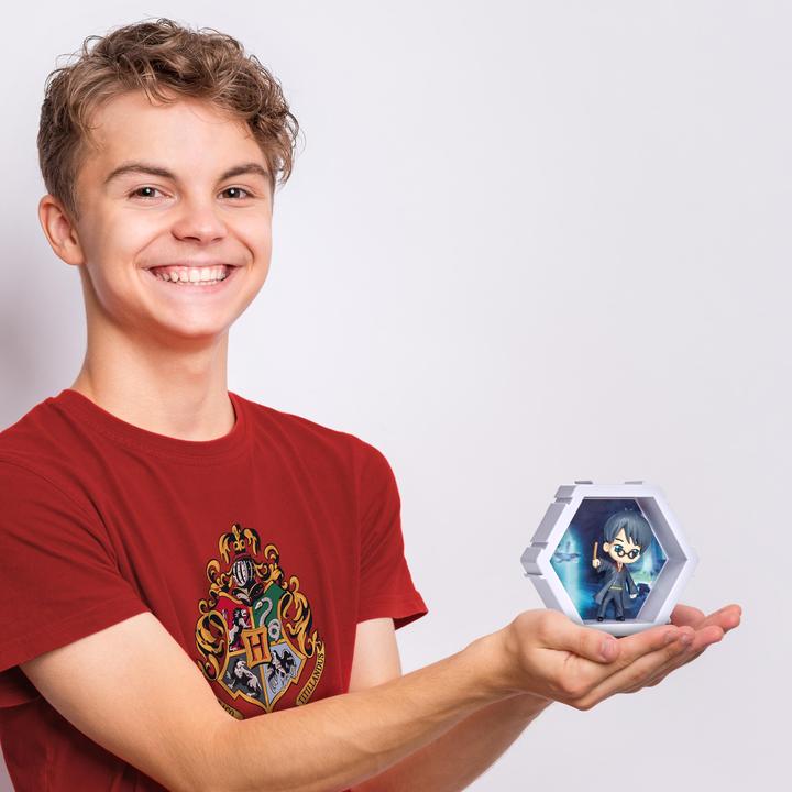 Actual product image Amo Toys POD 4D - Wizarding World Harry Potter (121004)