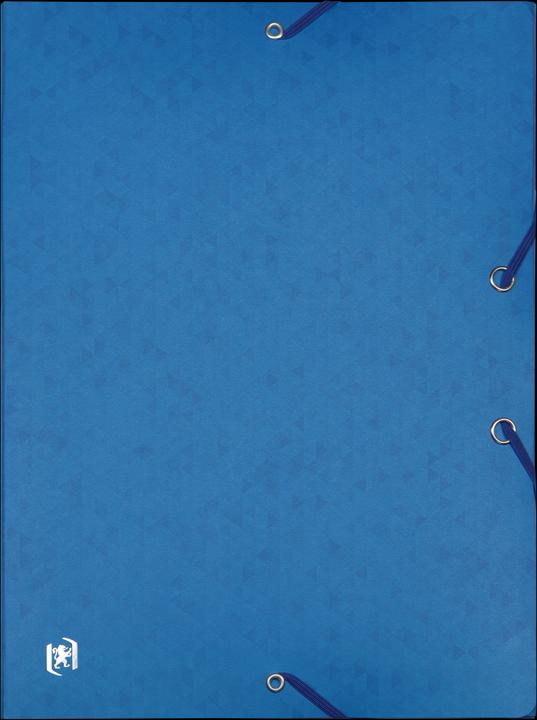 Image du produit Oxford Boîte de rangement TOP FILE+, A4 (A4, 1 x)