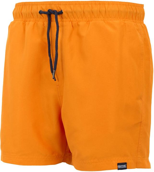 Actual product image Regatta Mens Mawson II Swim Shorts (XXL)