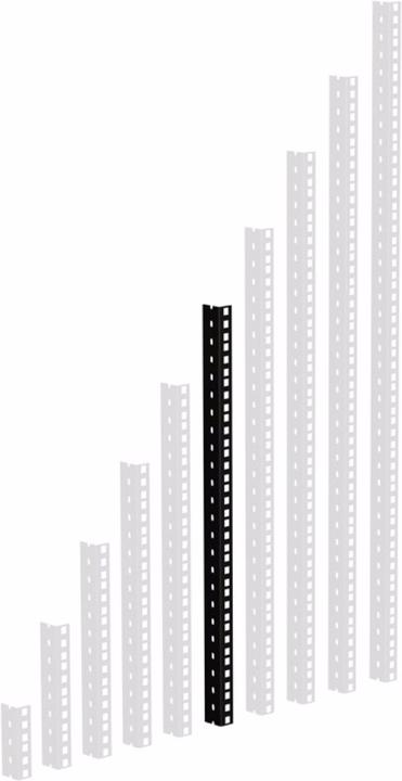 Adam Hall 61535 B 12 Guida rack HD (Portapacchi 19)