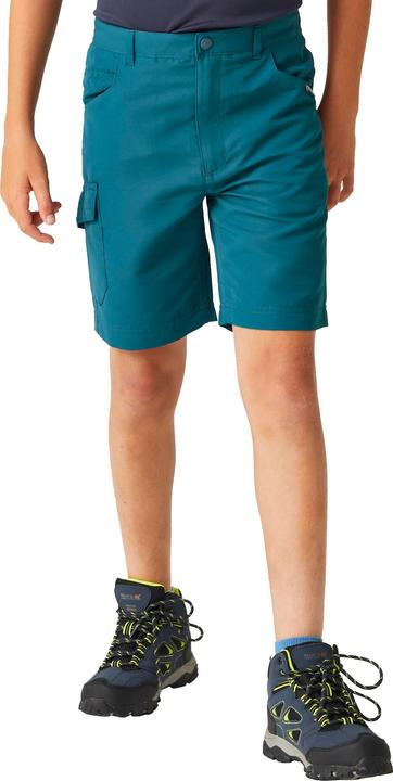 Image du produit Regatta - Short SORCER - Unisexe (104)