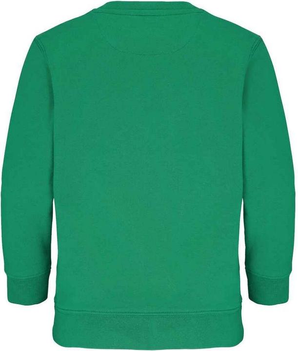 Actual product image Sols Childrens/Kids Columbia Sweatshirt (152)