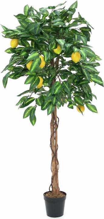 Produktbild Europalms Zitronenbaum, Kunstpflanze, 180cm (180 cm)