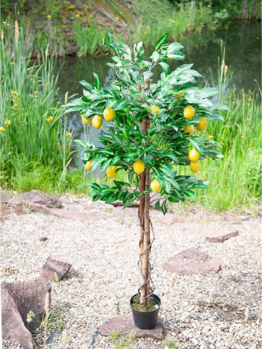 Produktbild Europalms Zitronenbaum, Kunstpflanze, 180cm (180 cm)