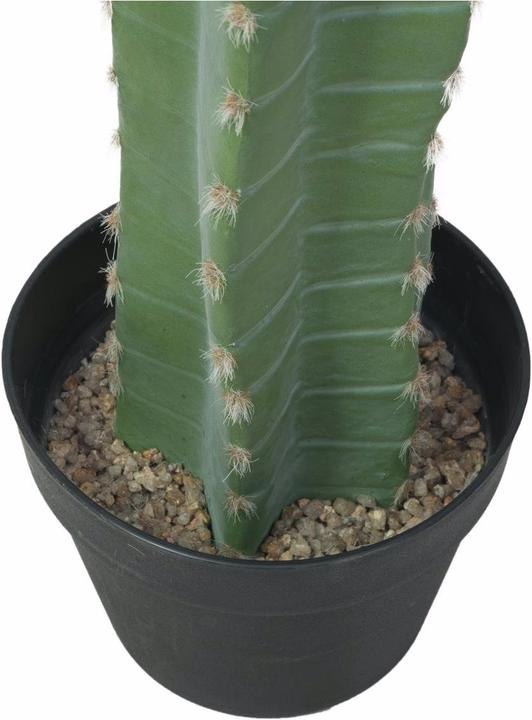 Produktbild Europalms Mexikanischer Kaktus (97 cm)