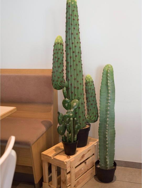 Produktbild Europalms Mexikanischer Kaktus (97 cm)