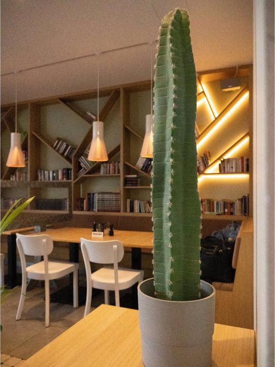 Produktbild Europalms Mexikanischer Kaktus (97 cm)