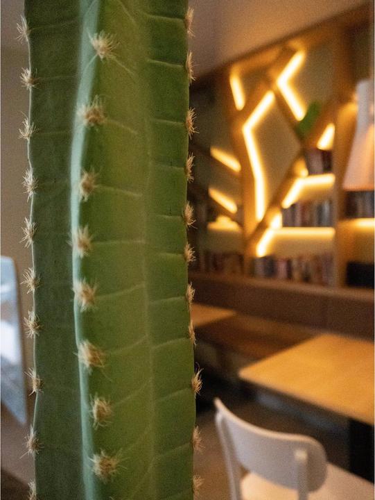 Produktbild Europalms Mexikanischer Kaktus (97 cm)