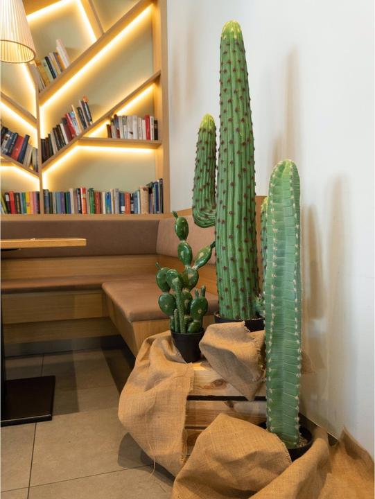 Produktbild Europalms Mexikanischer Kaktus (97 cm)