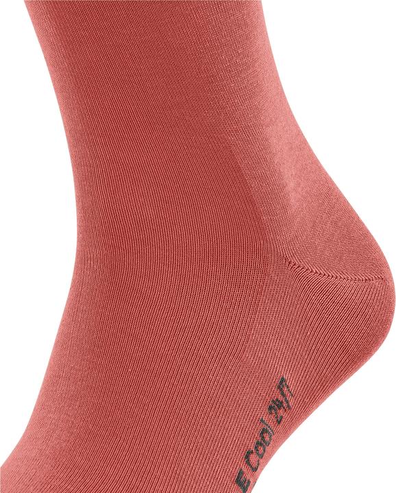 Produktbild Falke Cool 24/7 Herren Socken (39 - 40)