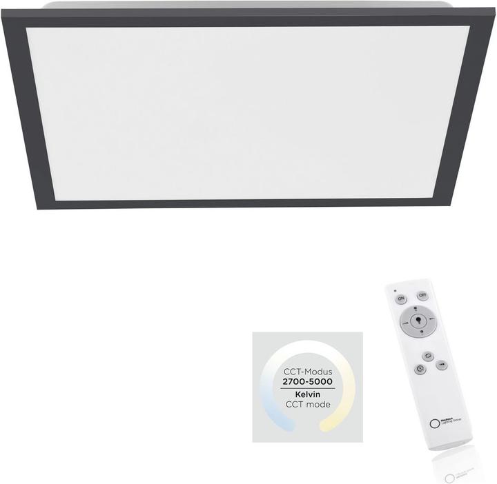 Produktbild Paul Neuhaus Flat (2500 lm)