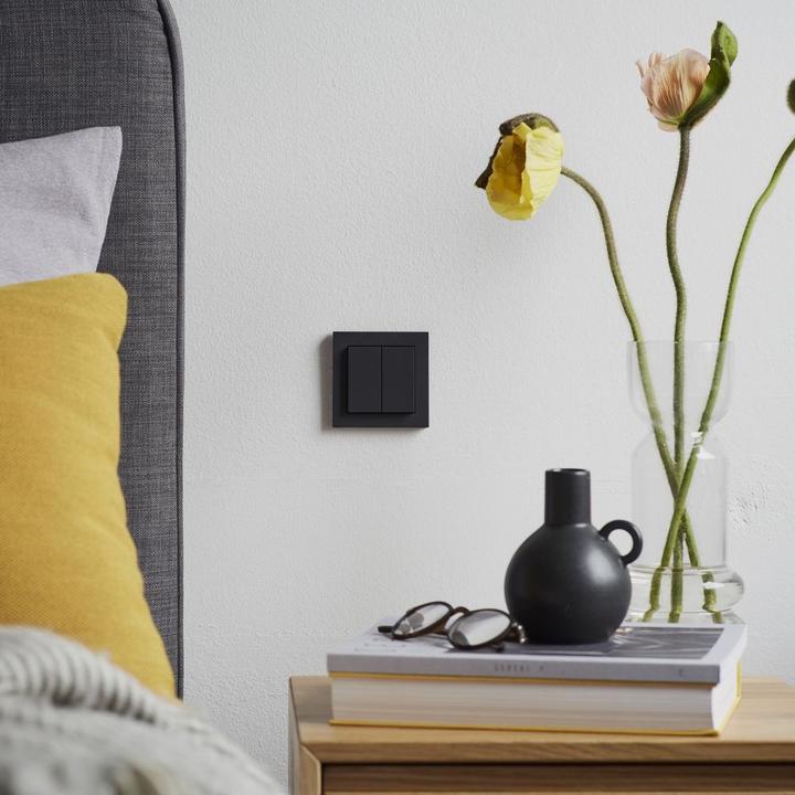 Actual product image Senic Friends of Hue