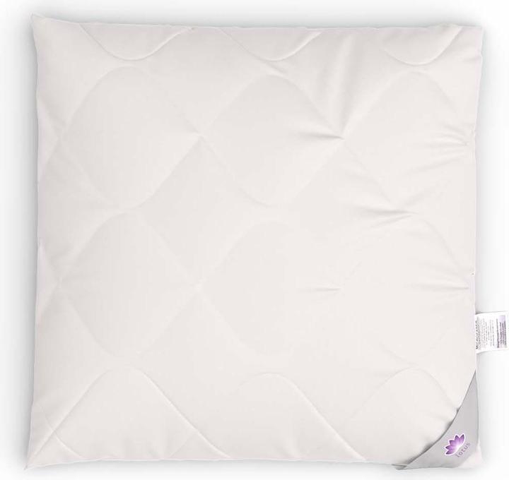 Immagine prodotto Lotus Bettwaren Cuscino in microfibra (65 x 65 cm)