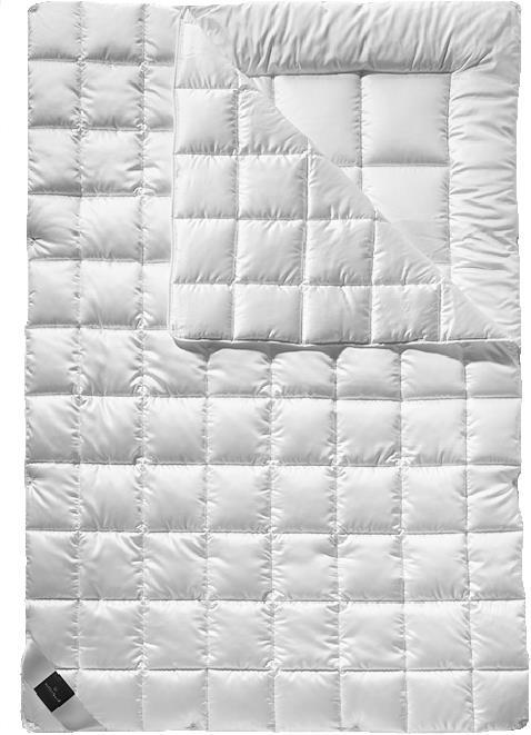 Actual product image Billerbeck Rheumalind (2120 g, 160 x 210 cm)