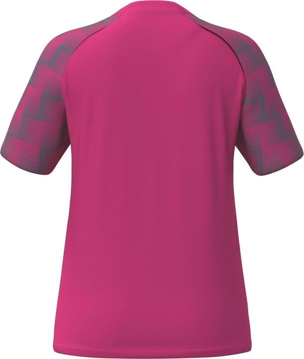 Actual product image Erima Evo Star jersey (42)