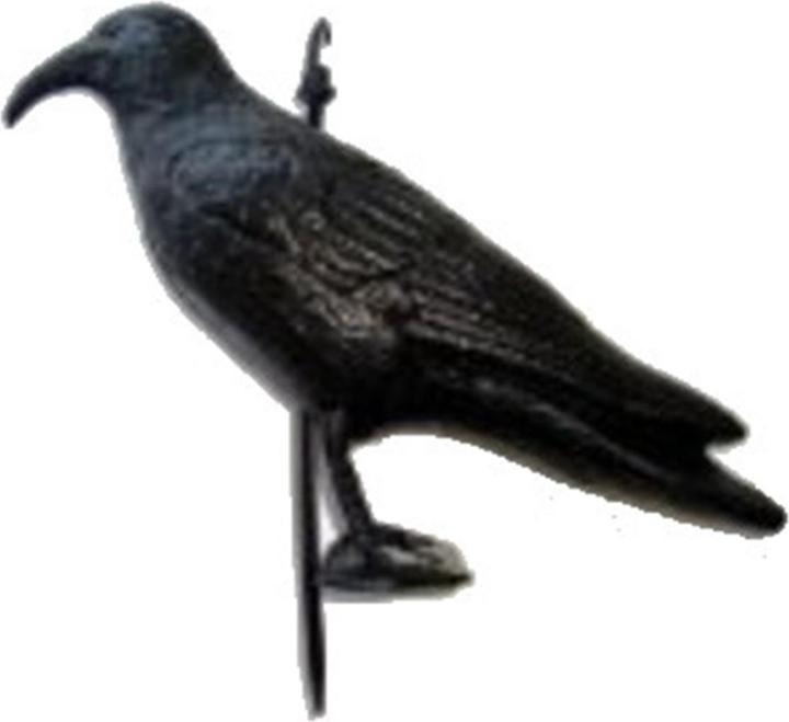 Compass Möwenschreck Krähe