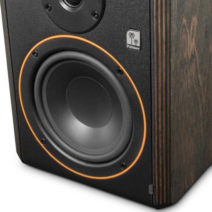 Image du produit Palmer Audio STUDIMON 5 Actif 5 (Actif, 1 pièce)