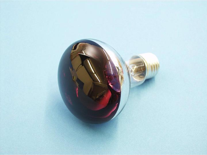 Produktbild Omnilux R80 230V/60W E-27 violett (60 W, E27)